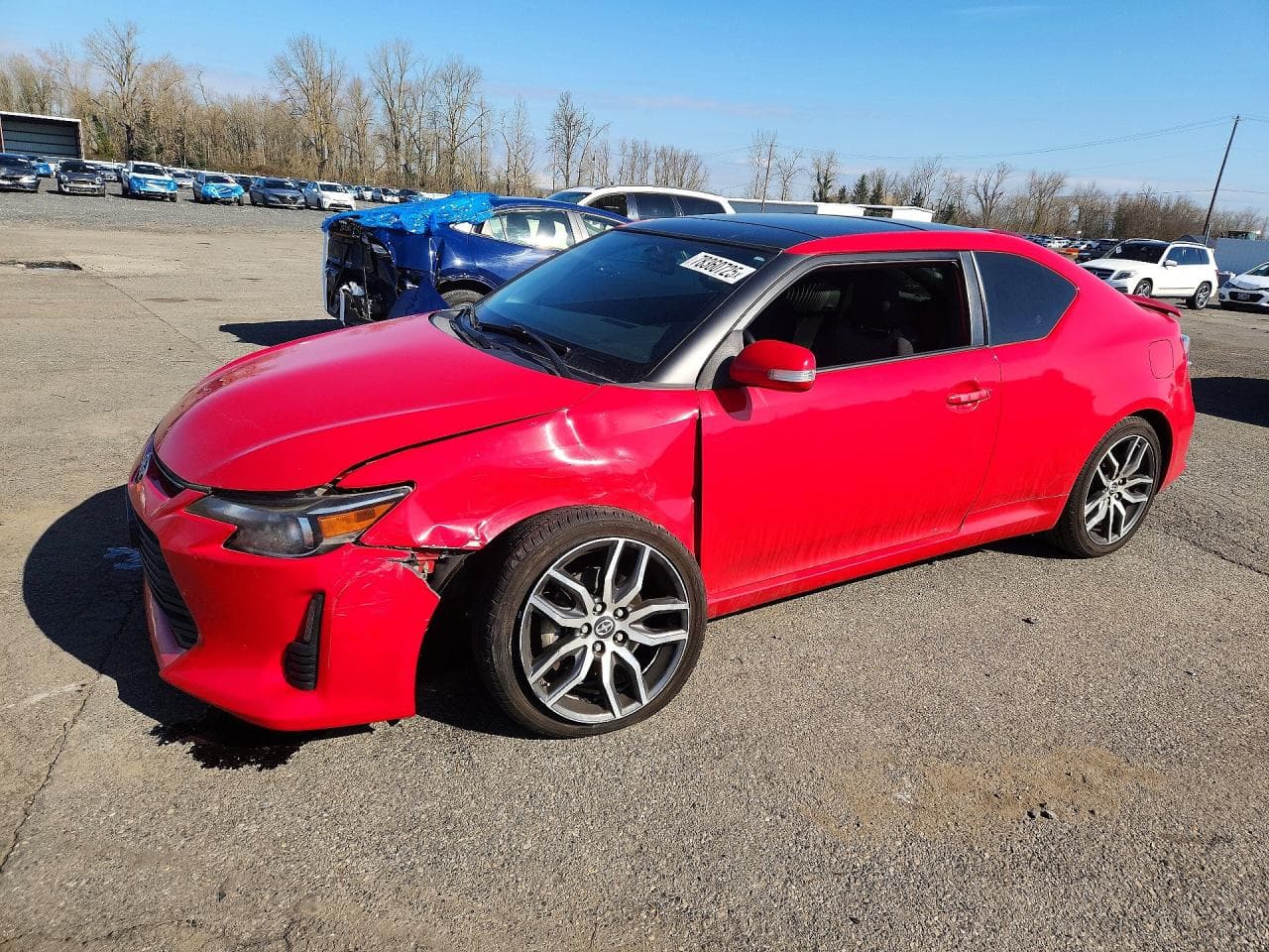Toyota Zelas