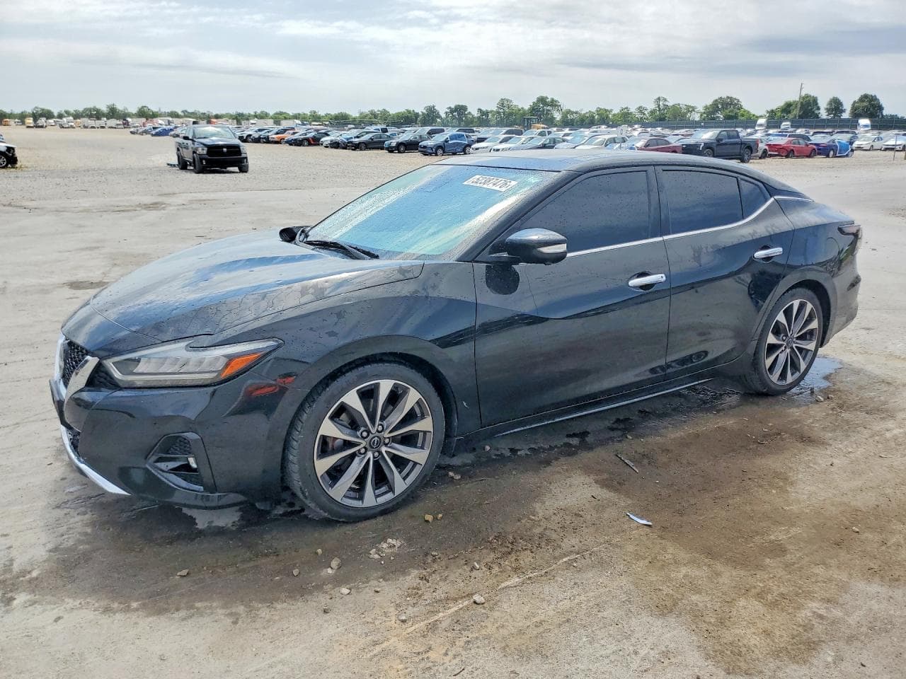 Nissan Maxima
